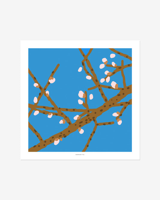 メイファポスター