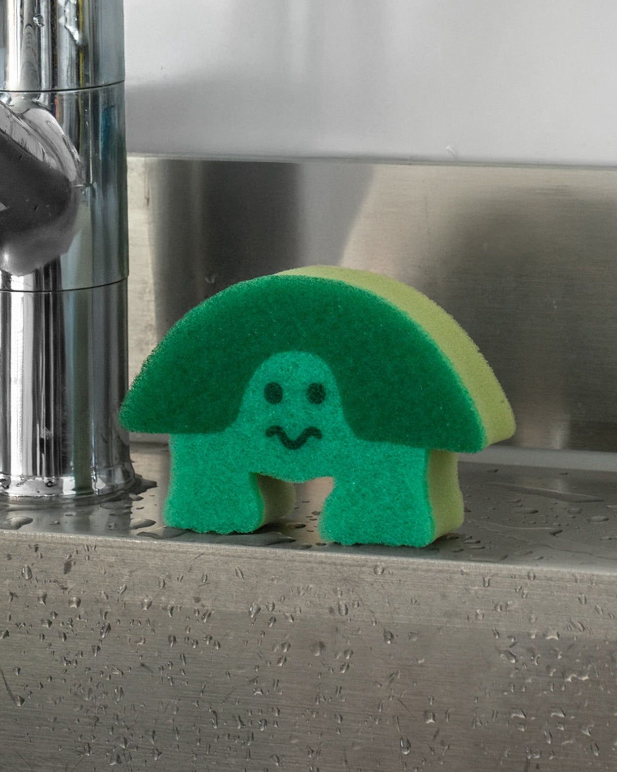 カメの食器用スポンジ