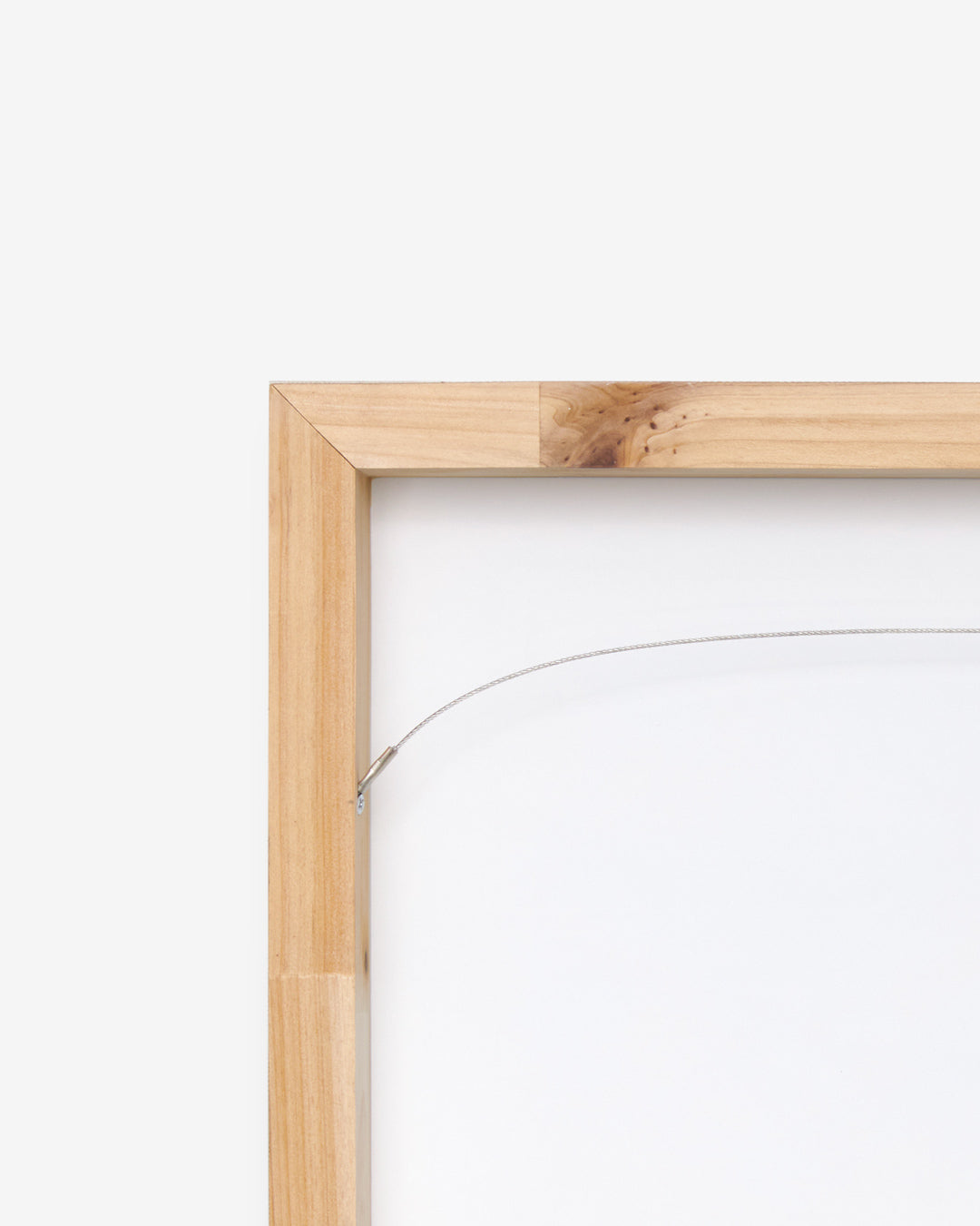 クジラのキャンバス