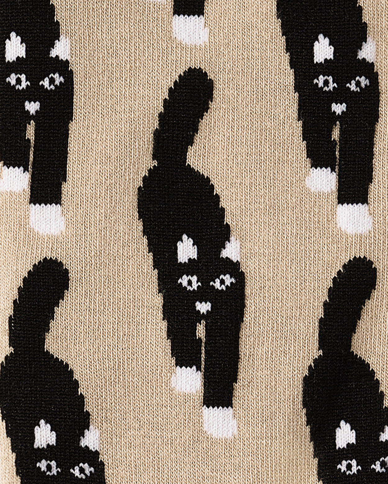 キャットカミングソックス - ベージュ