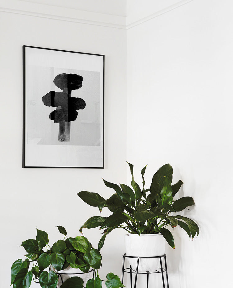 ブラックツリーポスター